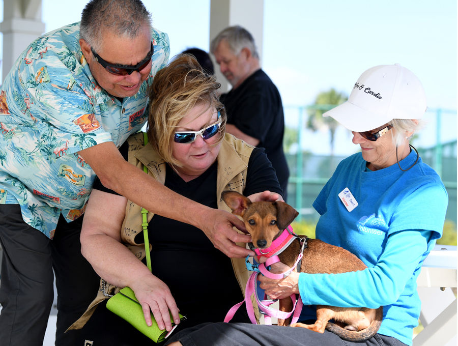 Residents find forever friends during latest pet-adoption event